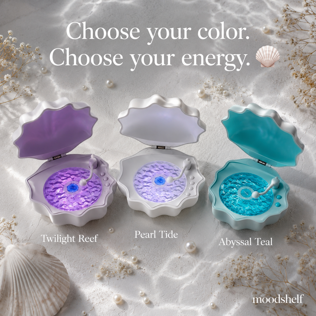 The Shell Speaker — your room's new main character 🐚